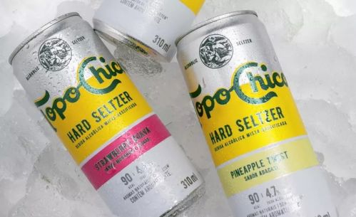 Hard Seltzer bebida que rouba mercado da cerveja nos EUA cresce no Brasil